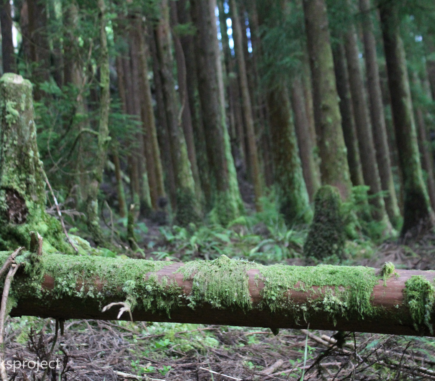 Natural Parks Project