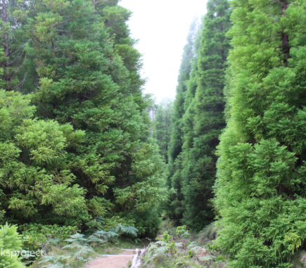 Natural Parks Project