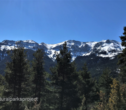 Natural Parks Project