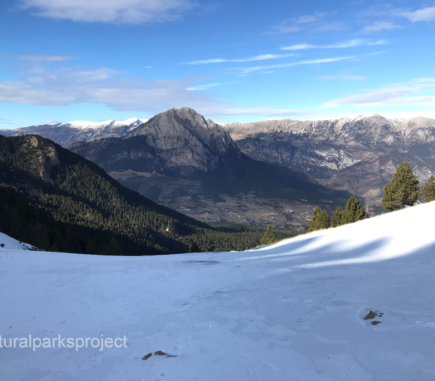Natural Parks Project