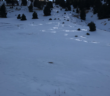 Natural Parks Project