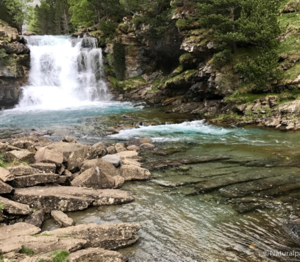 Natural Parks Project