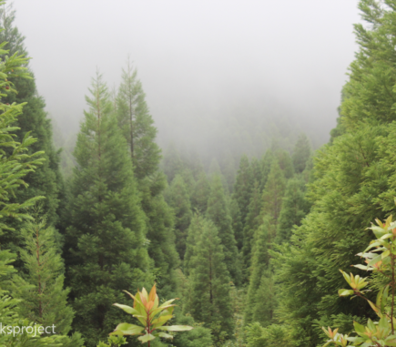 Natural Parks Project