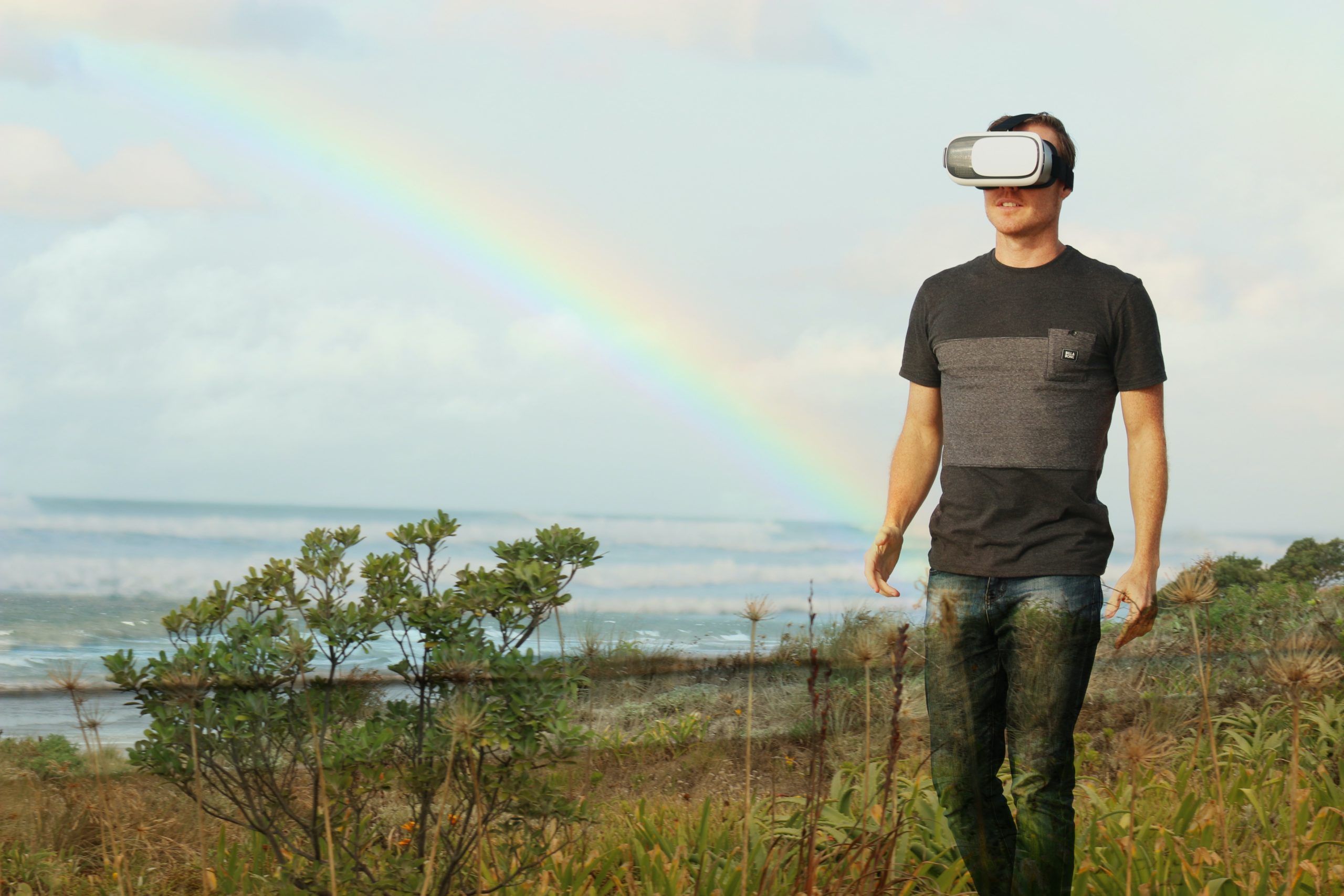 Conservation in Virtual Reality
